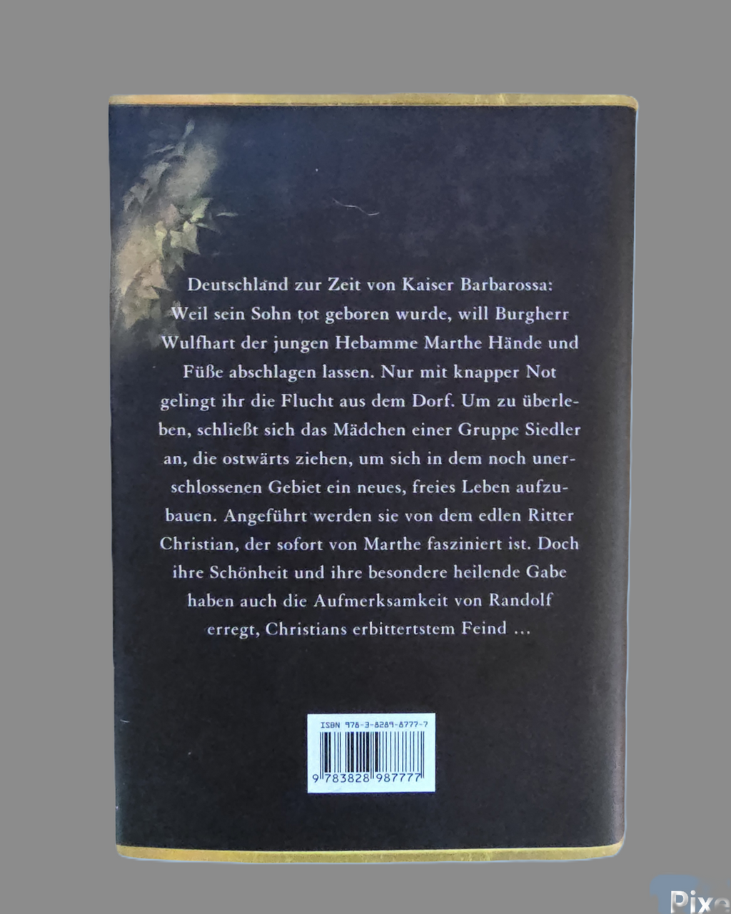 Buch  Das Geheimnis der Hebamme  Sabine Ebert