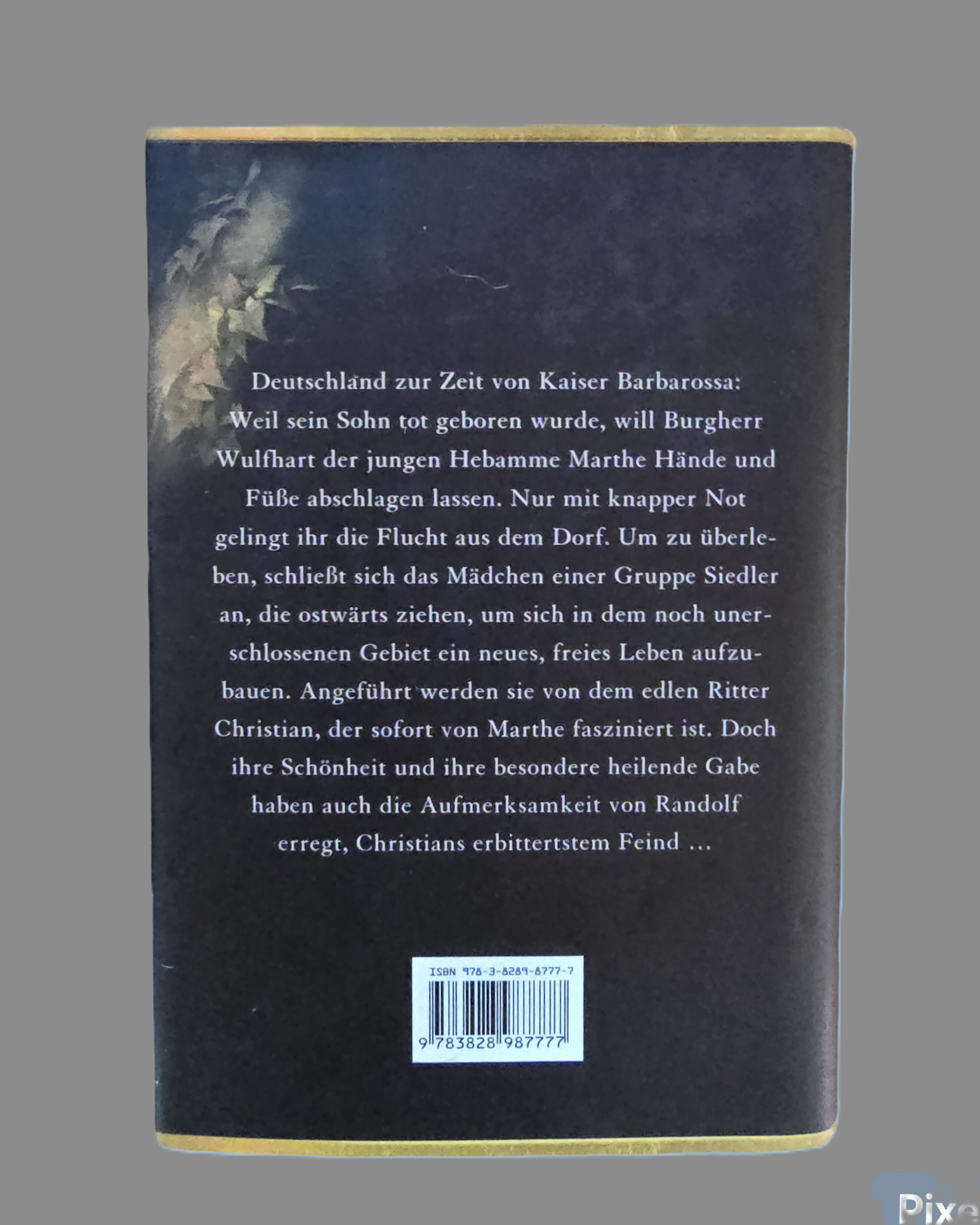 Buch  Das Geheimnis der Hebamme  Sabine Ebert