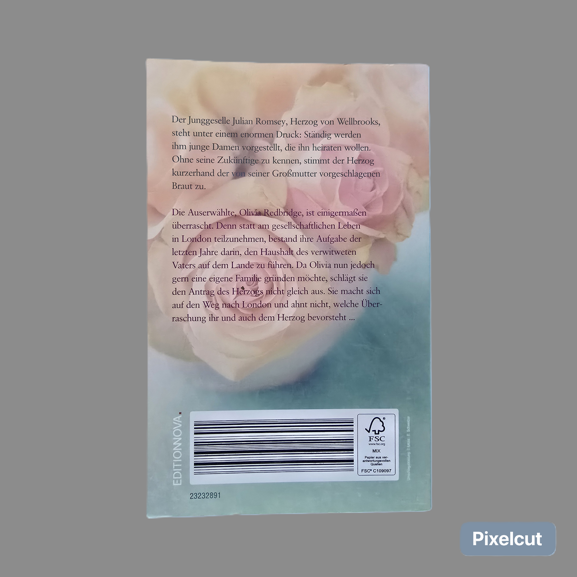 Buch  Die Braut des Herzogs Sophia Farago