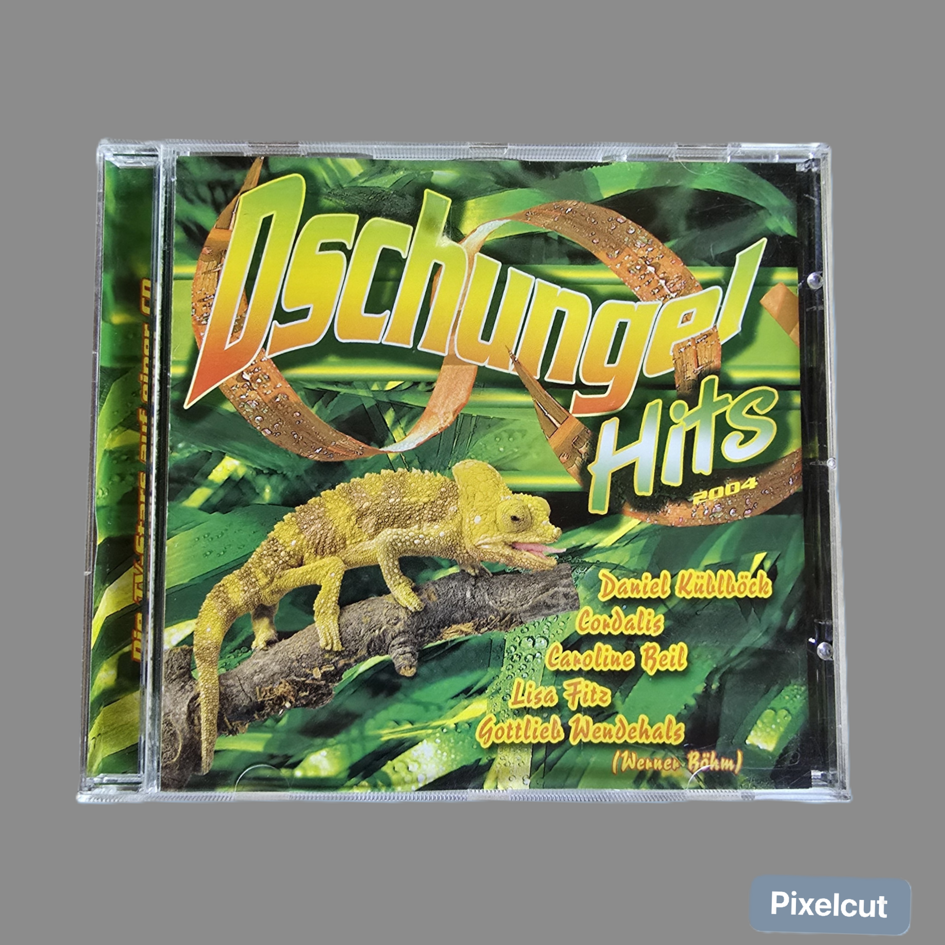CD Dschungel Hits (2003)