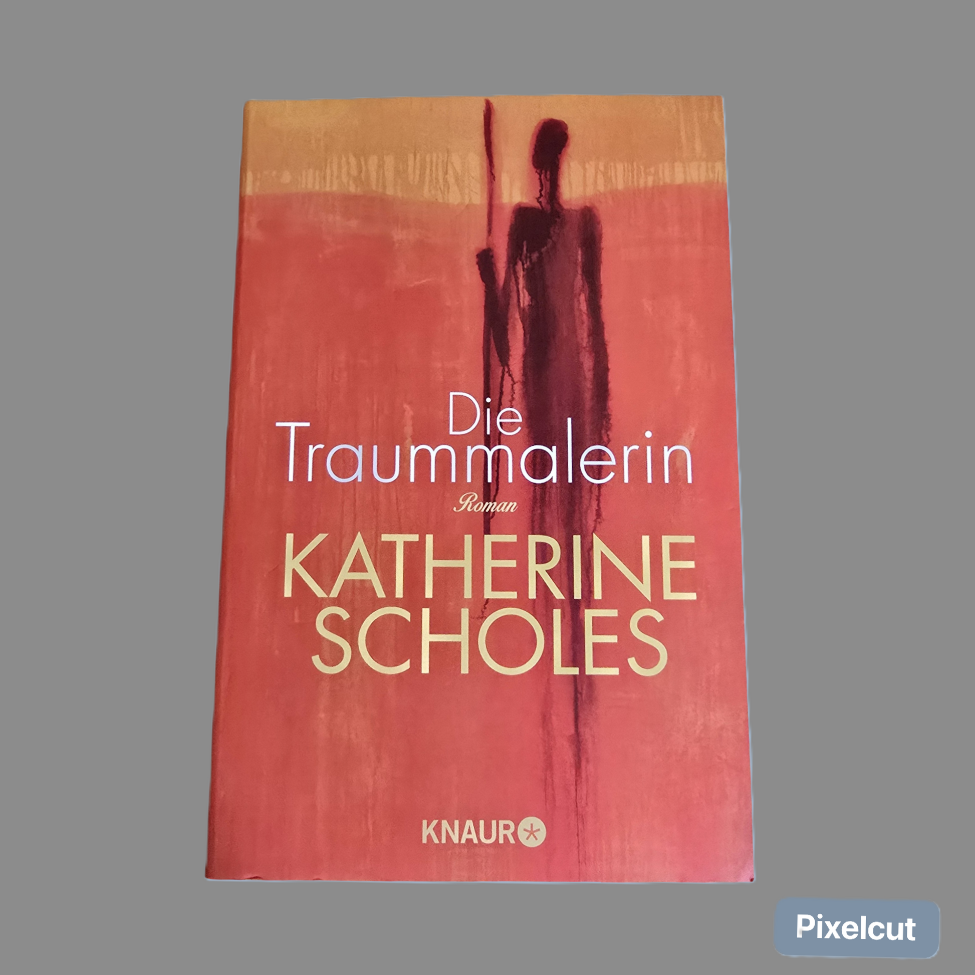 Buch Die Traummalerin  Katharine Scholes (2014)