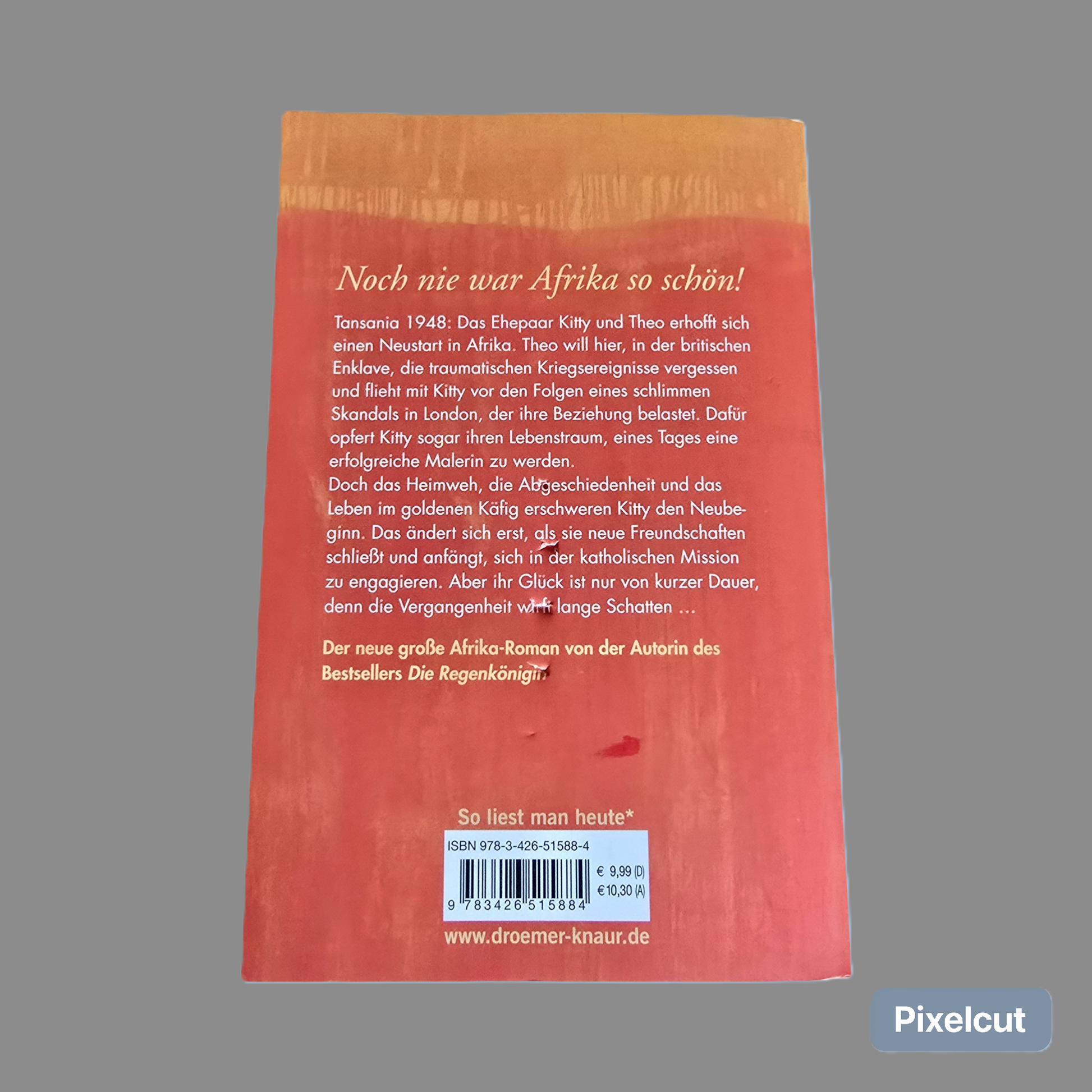 Buch Die Traummalerin  Katharine Scholes (2014)