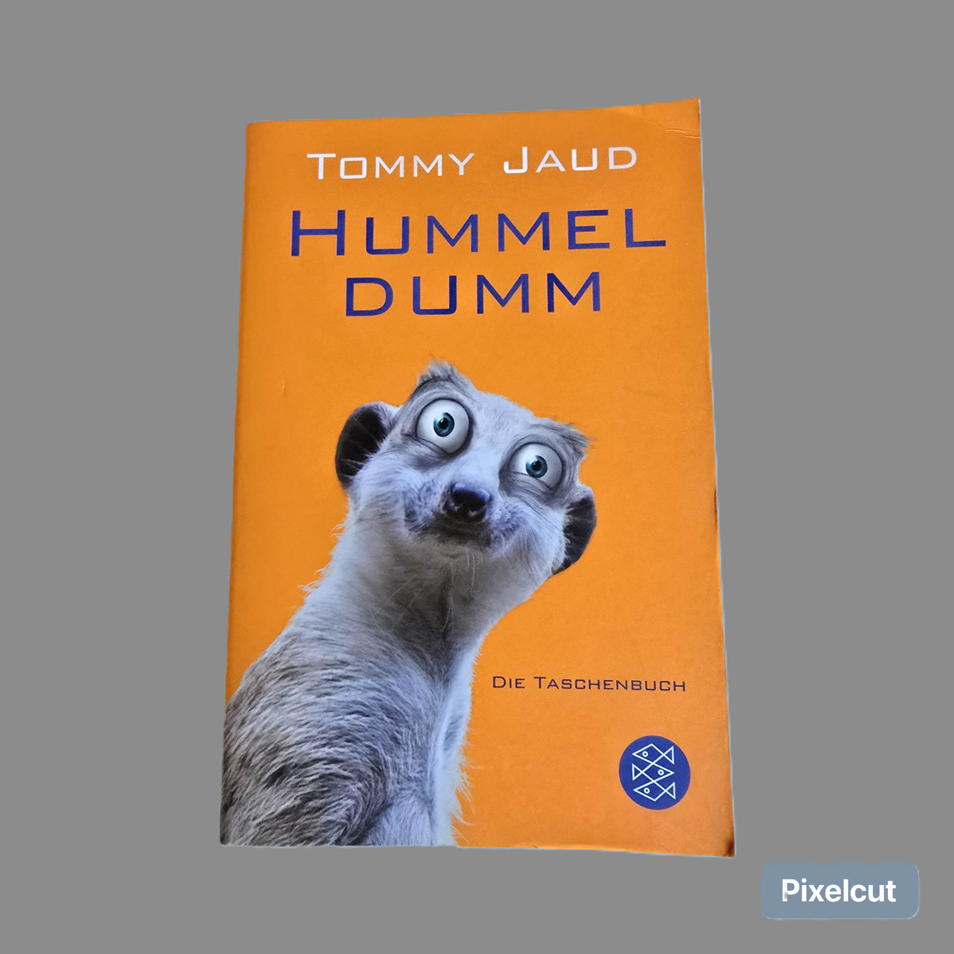 Buch Hummel Dumm  Tommy Jaud (2010)