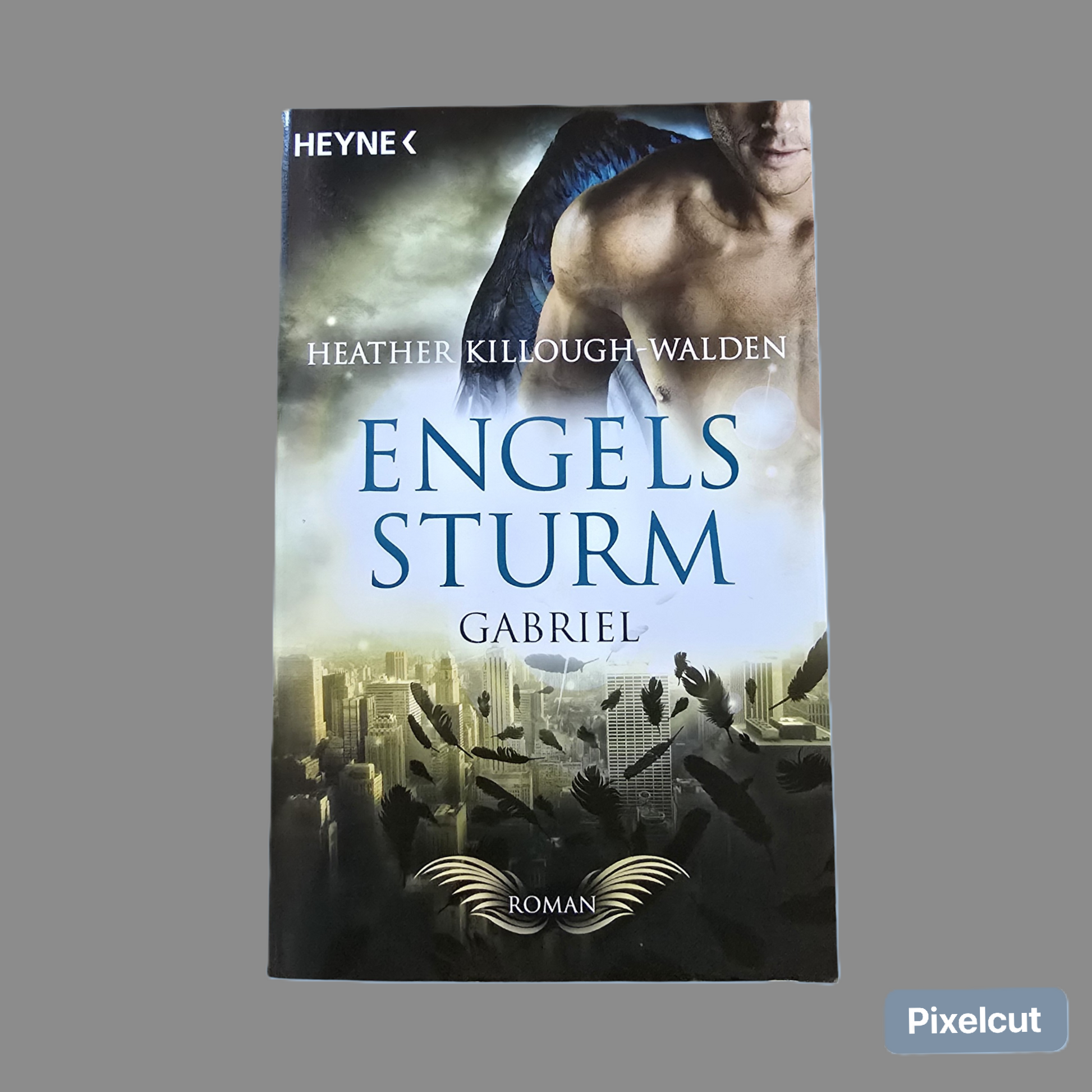 Buch  Engels Sturm Gabriel Killough-Walden ((2013)