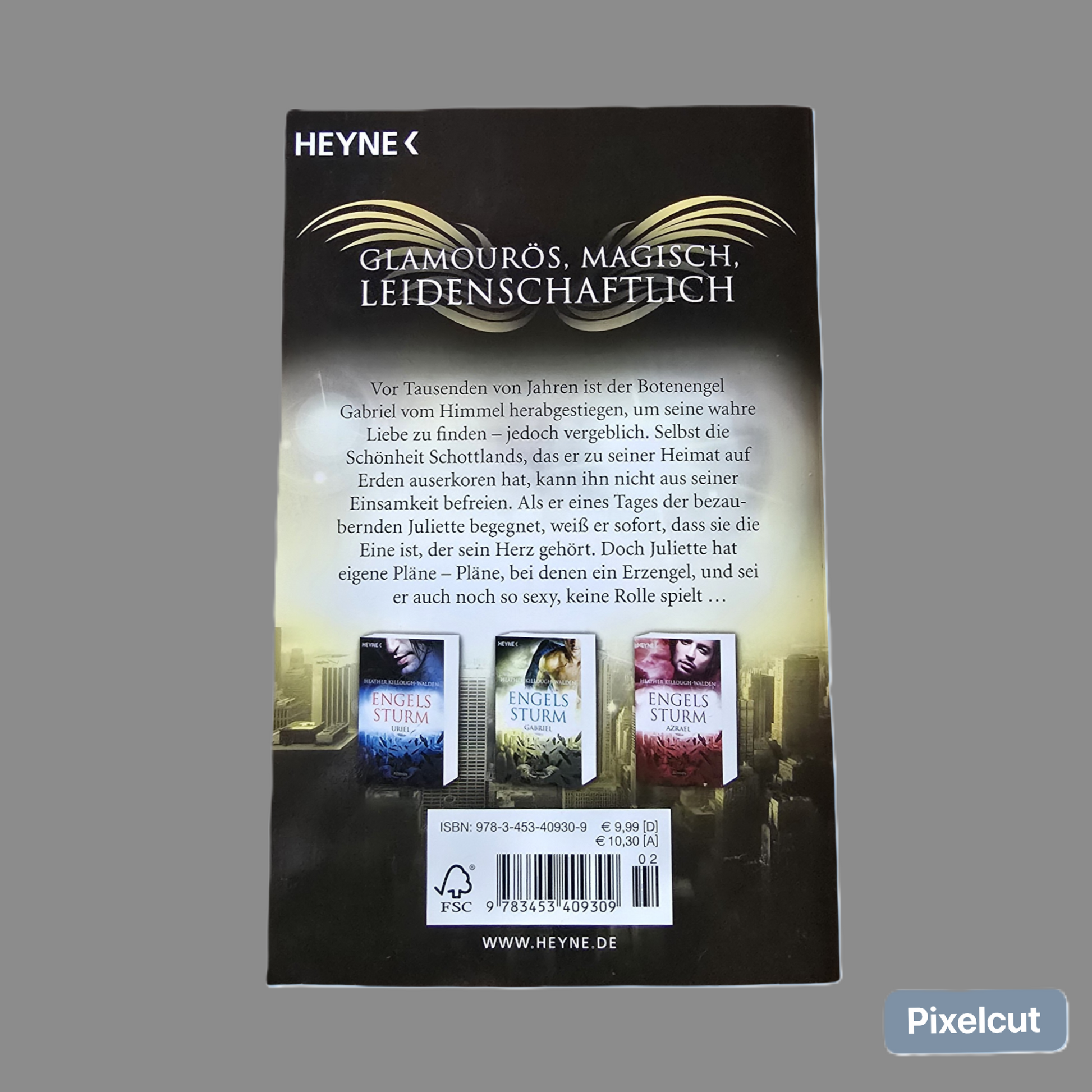 Buch  Engels Sturm Gabriel Killough-Walden ((2013)