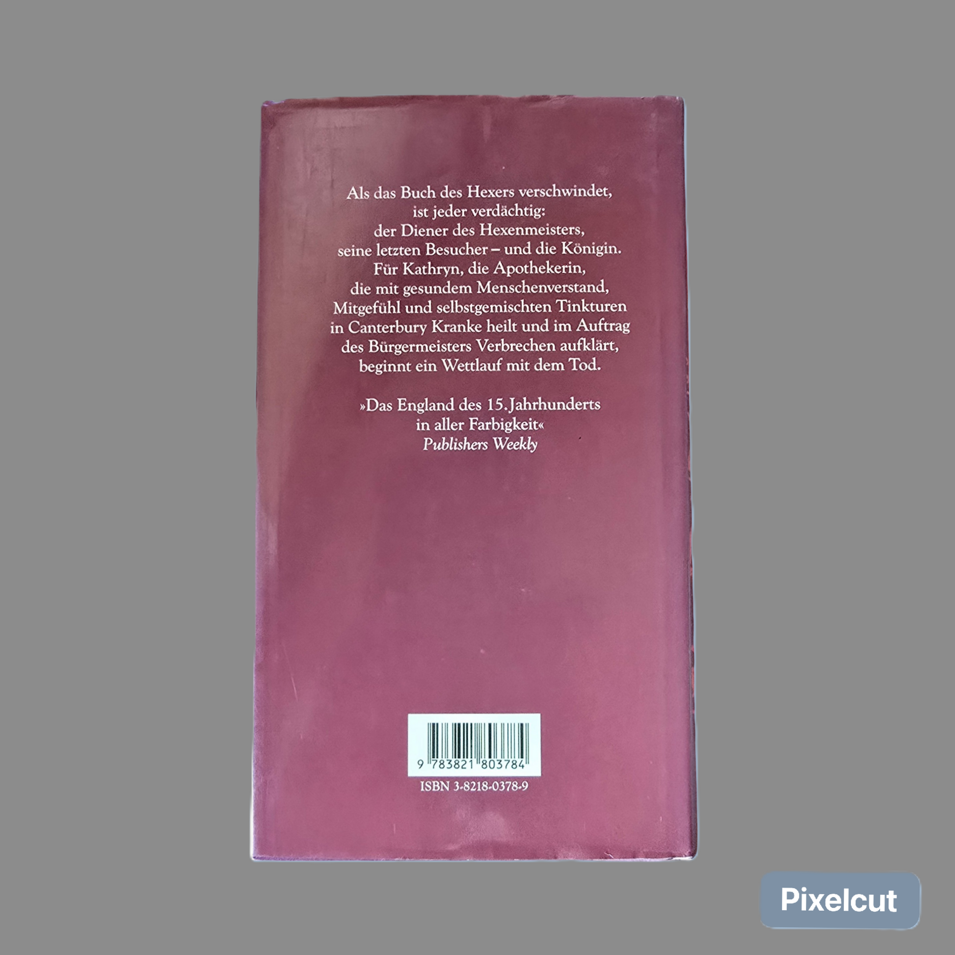 Buch Die Heilerin von Canterbury  (1996)