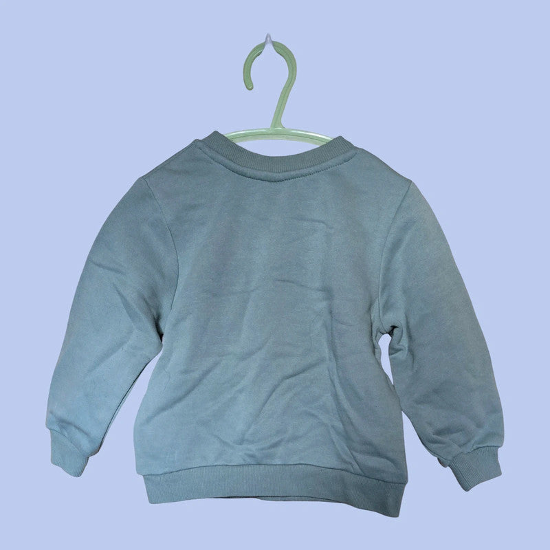 Disney Simba Mädchen Pulli  Gr. 18-24 Month