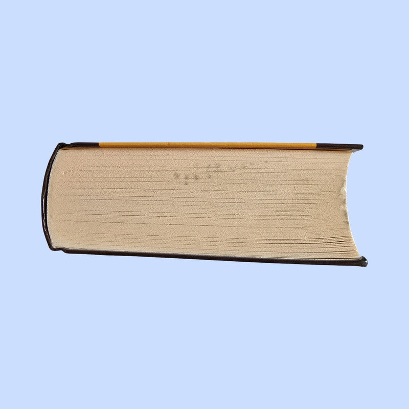 Buch Die schönsten Katzen Geschichten (1994)