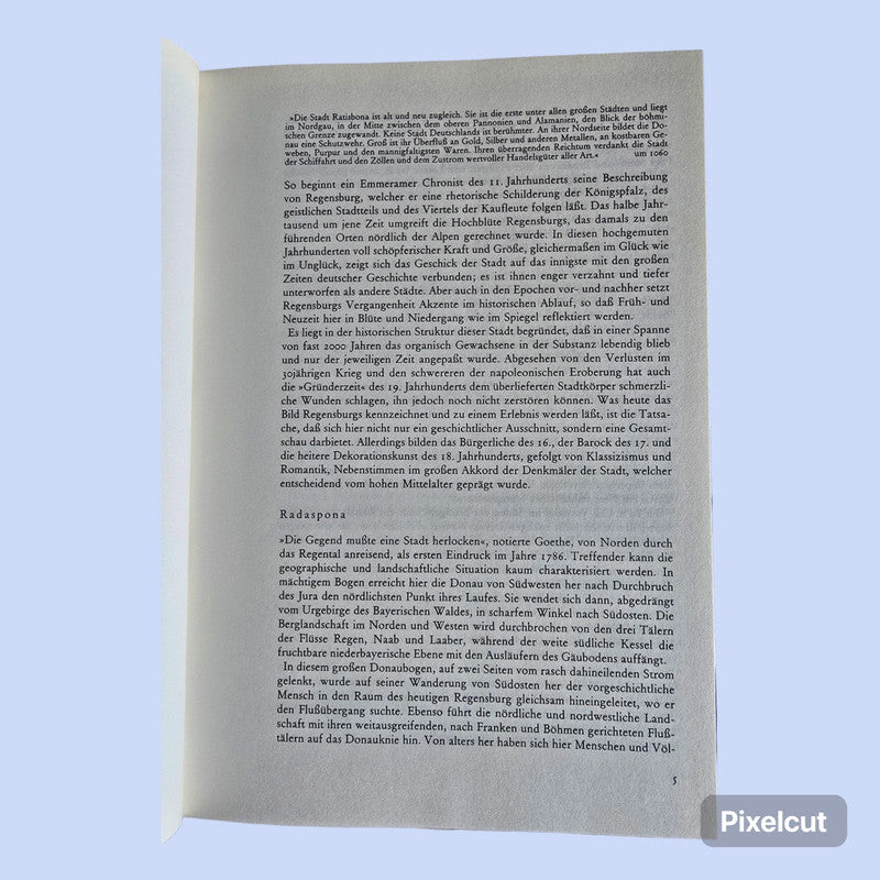 Buch Regensburg (1983)