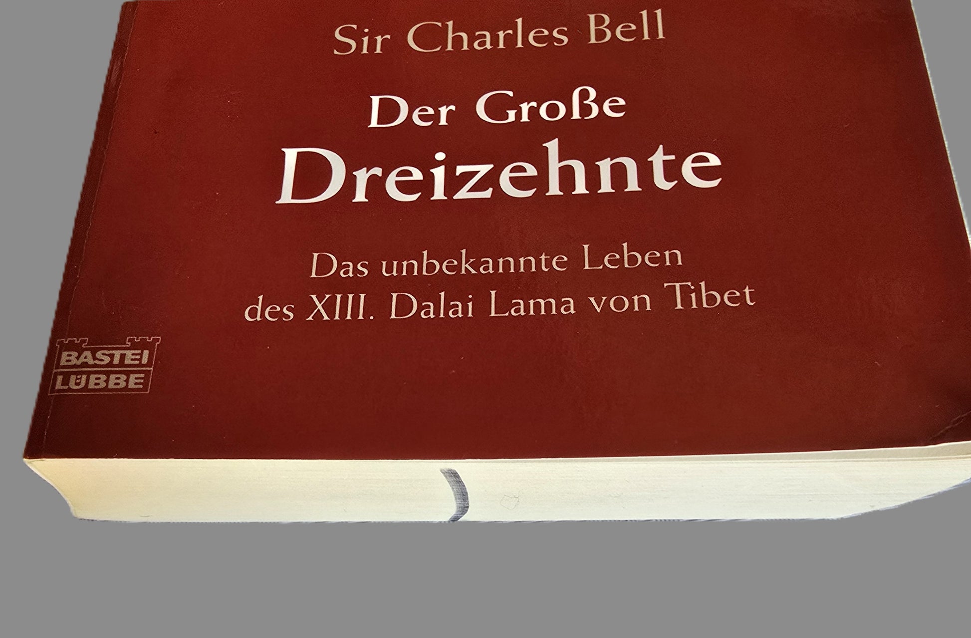 Taschenbuch  Der Große Dreizehnte