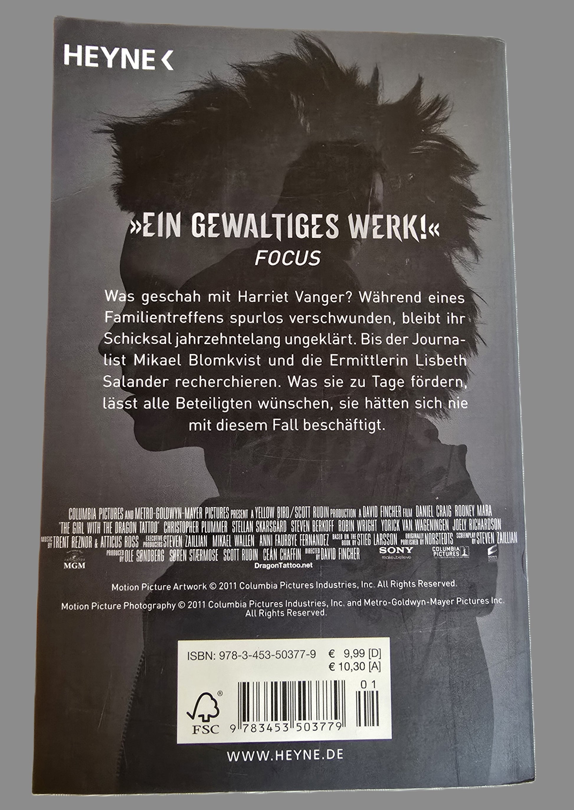 Buch Verblendung  Sieg Larsson