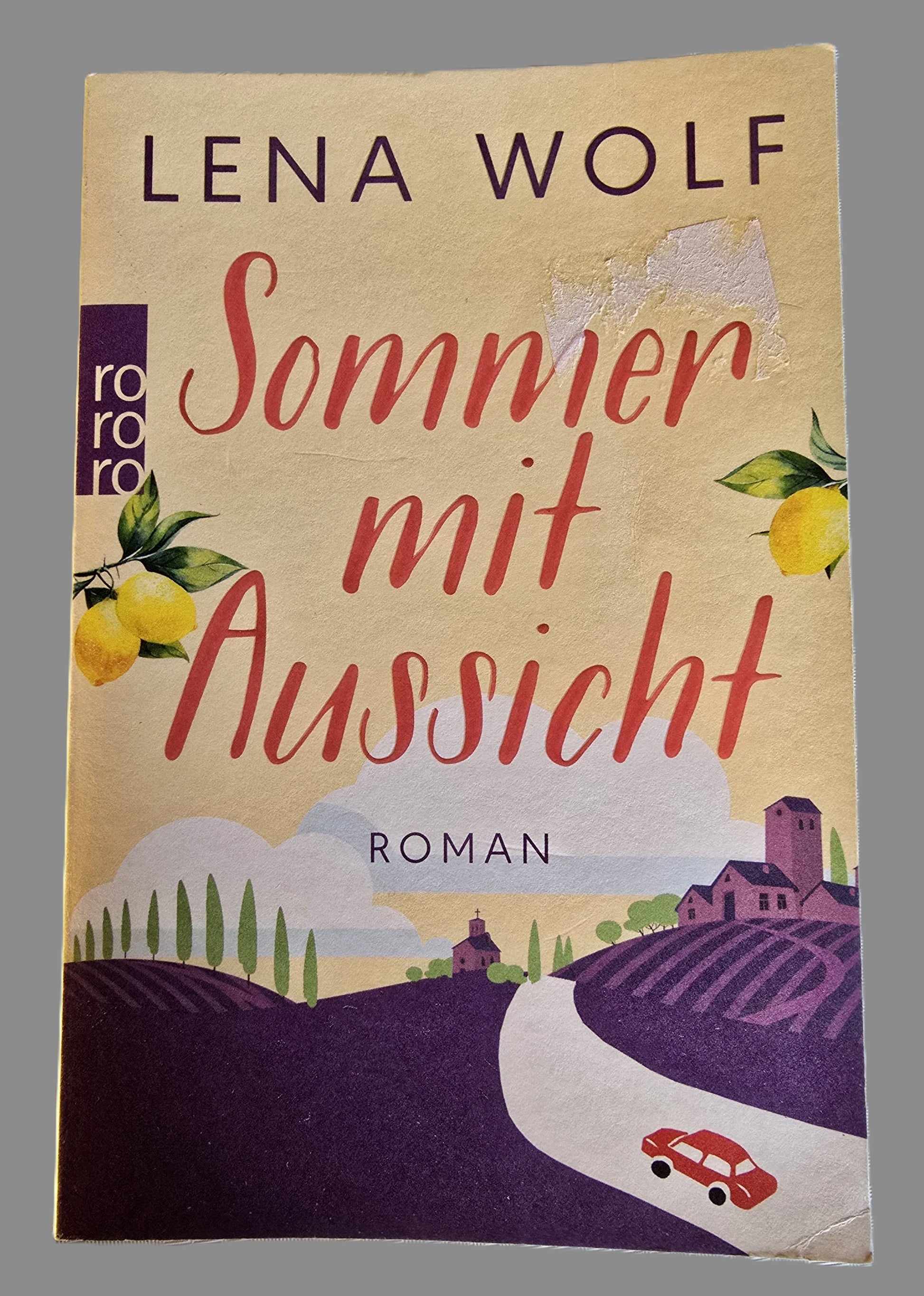 Buch Sommer mit Aussicht von Lena Wolf