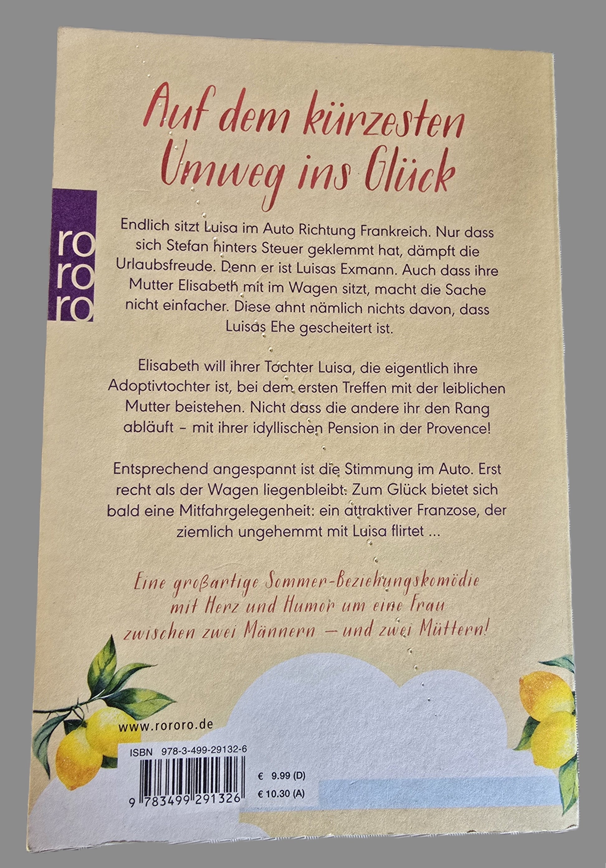 Buch Sommer mit Aussicht von Lena Wolf