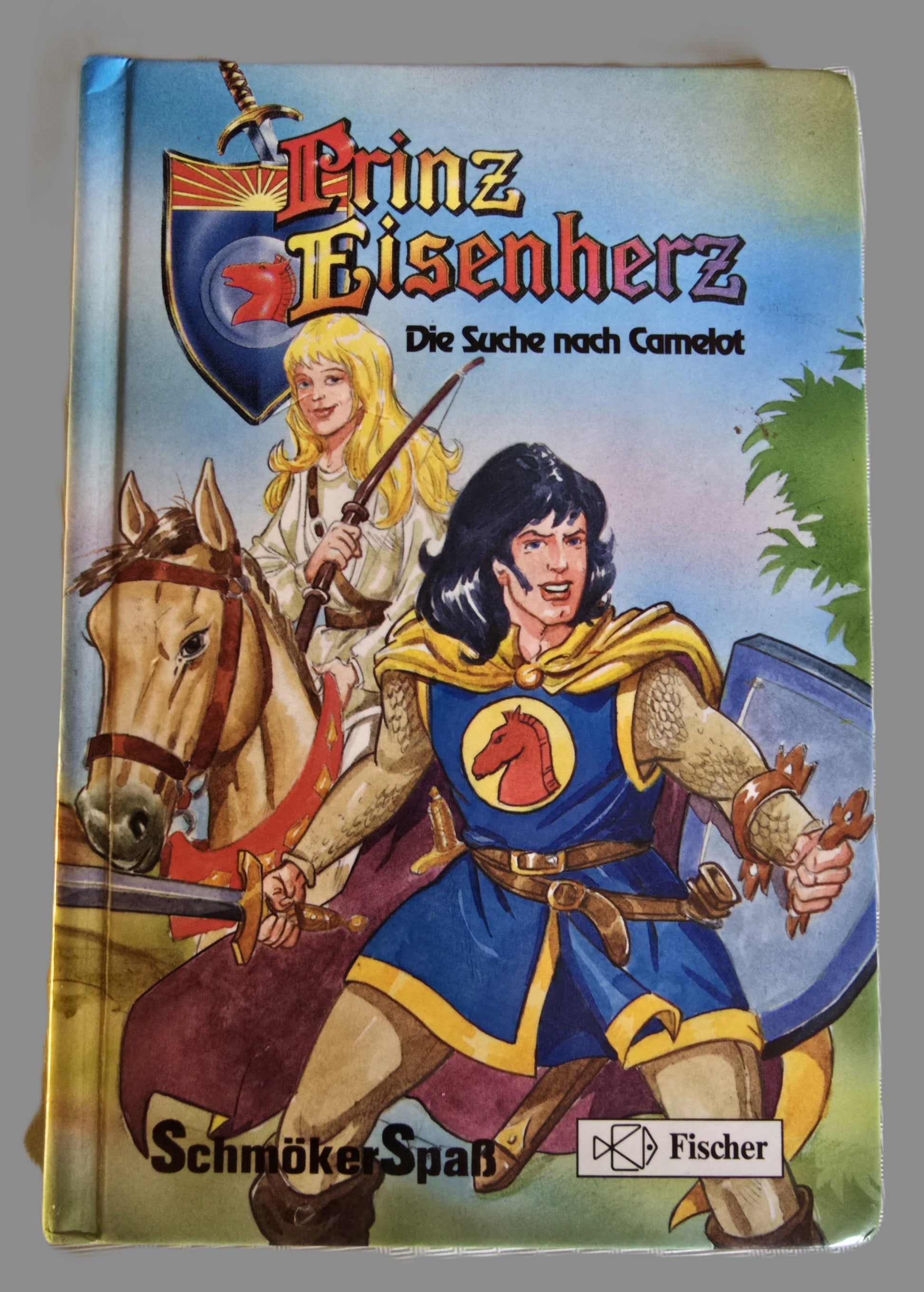 Buch Prinz Eisenherz