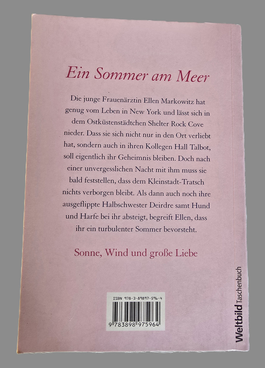 Buch Ein Sommer am Meer Barbara Bretton