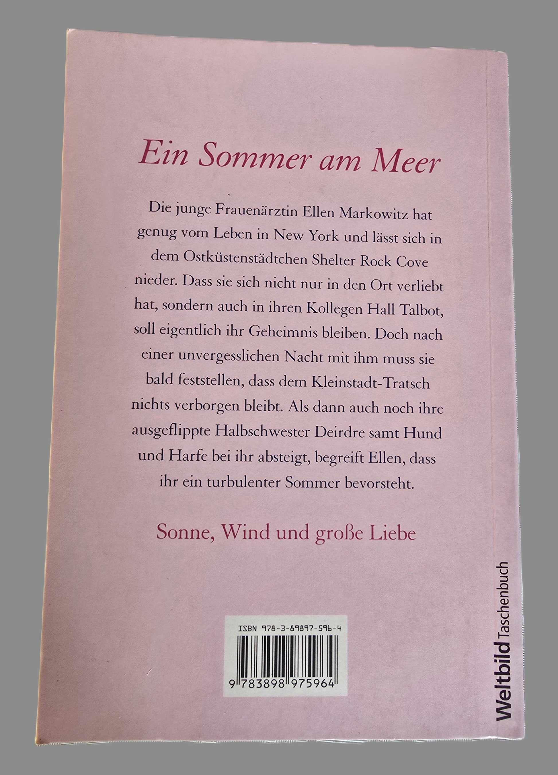 Buch Ein Sommer am Meer Barbara Bretton