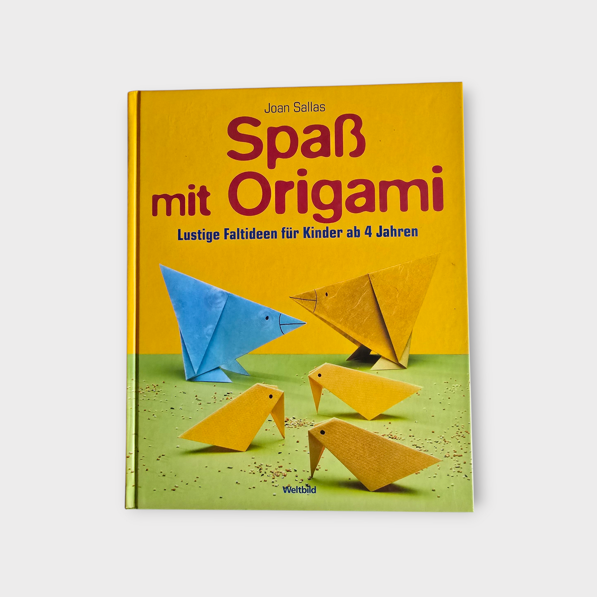 Buch Spaß mit Origami   Lustige Faltideen für Kinder ab 4 Jahren