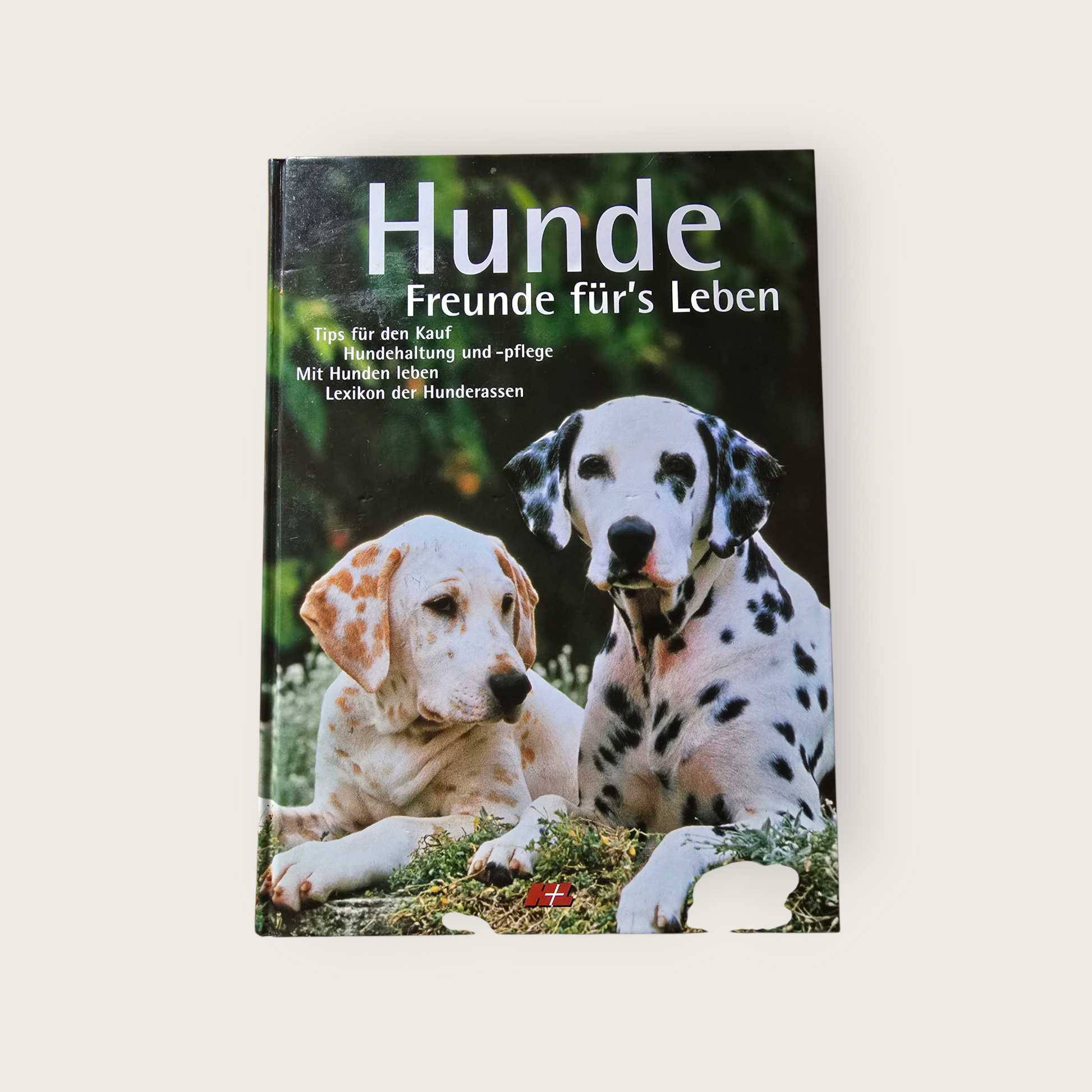 Buch  Hunde  Freunde fürs Leben (1999)
