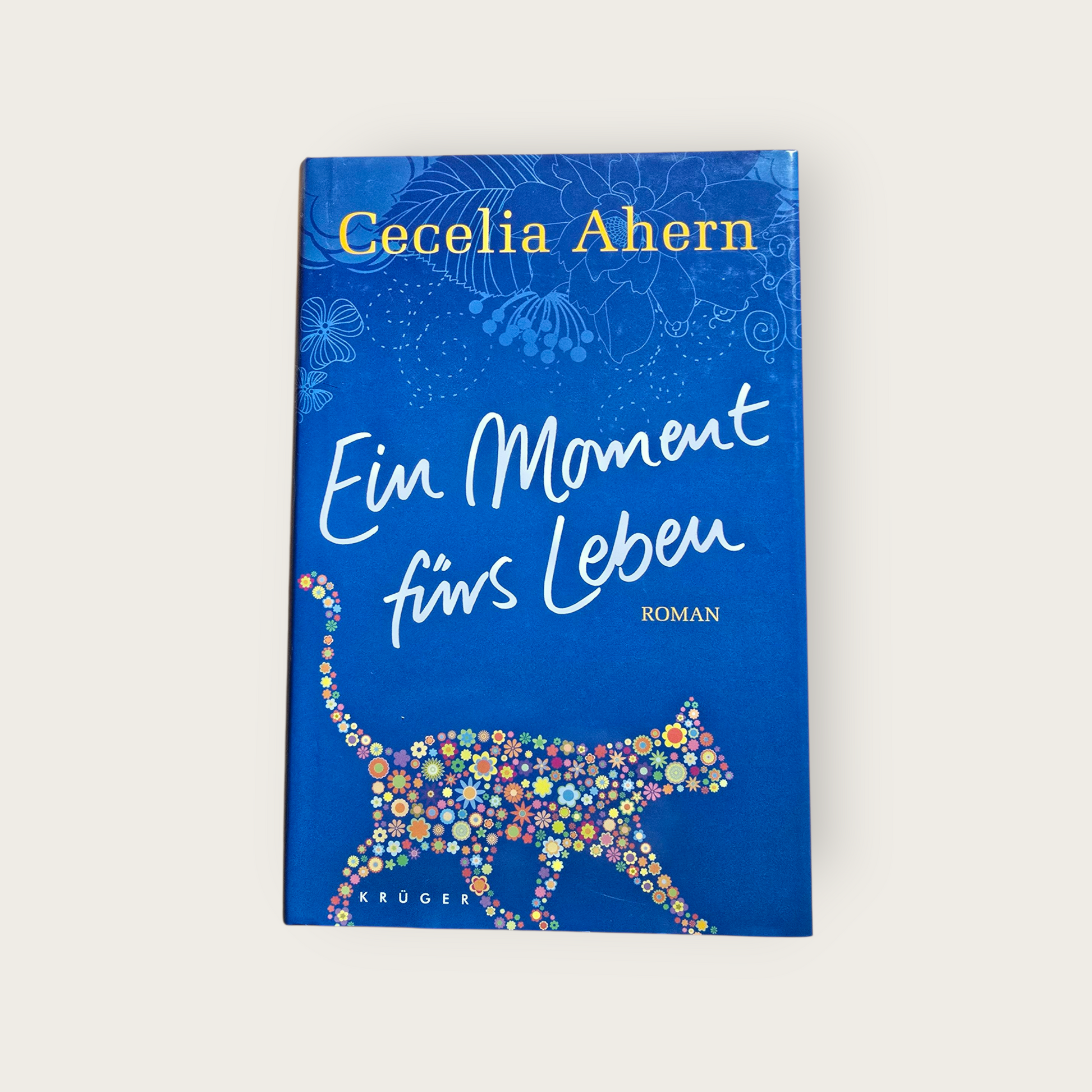 Buch Ein Moment fürs Leben Cecelia Ahern (2011)