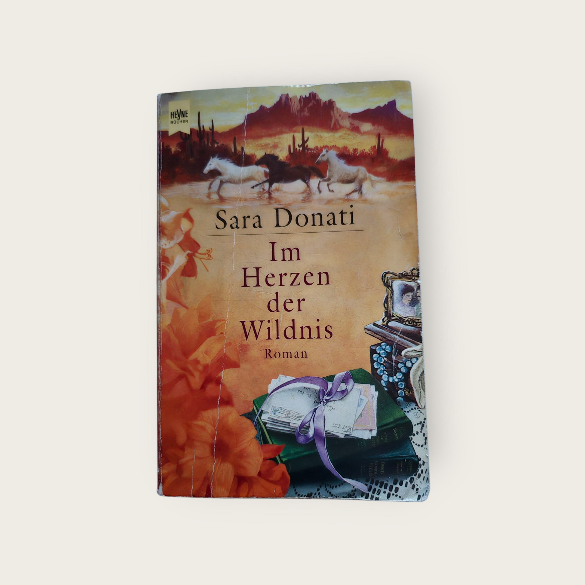 Buch Im Herzen der Wildnis - Sara Donati (2002)
