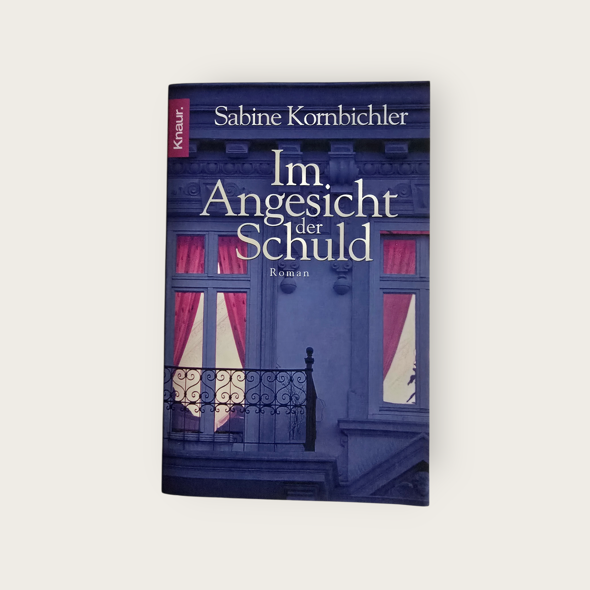 Buch Im Angesicht der Schuld S. Kornbichler (2006)