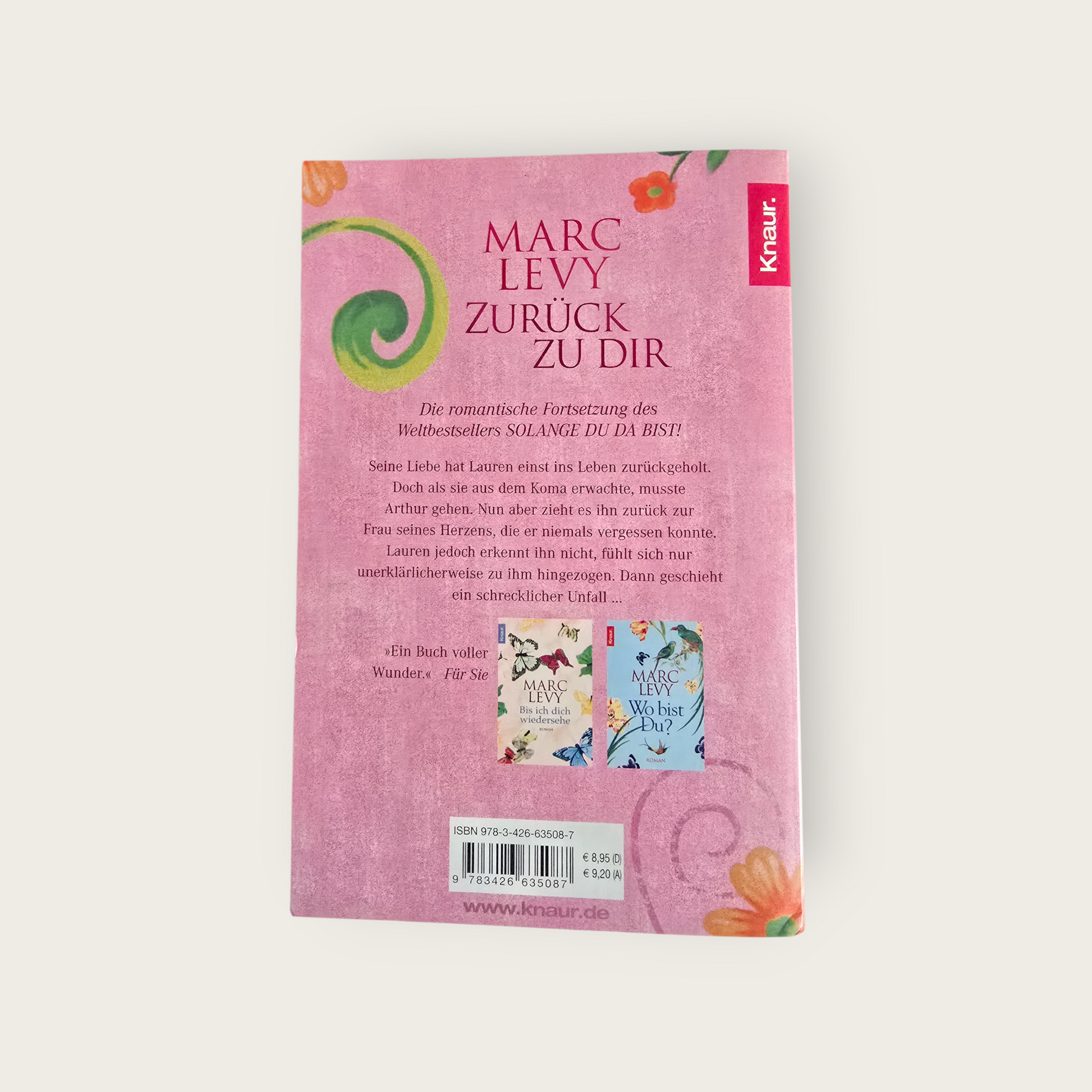 Mark Levy Zurück zu dir Roman (2007)