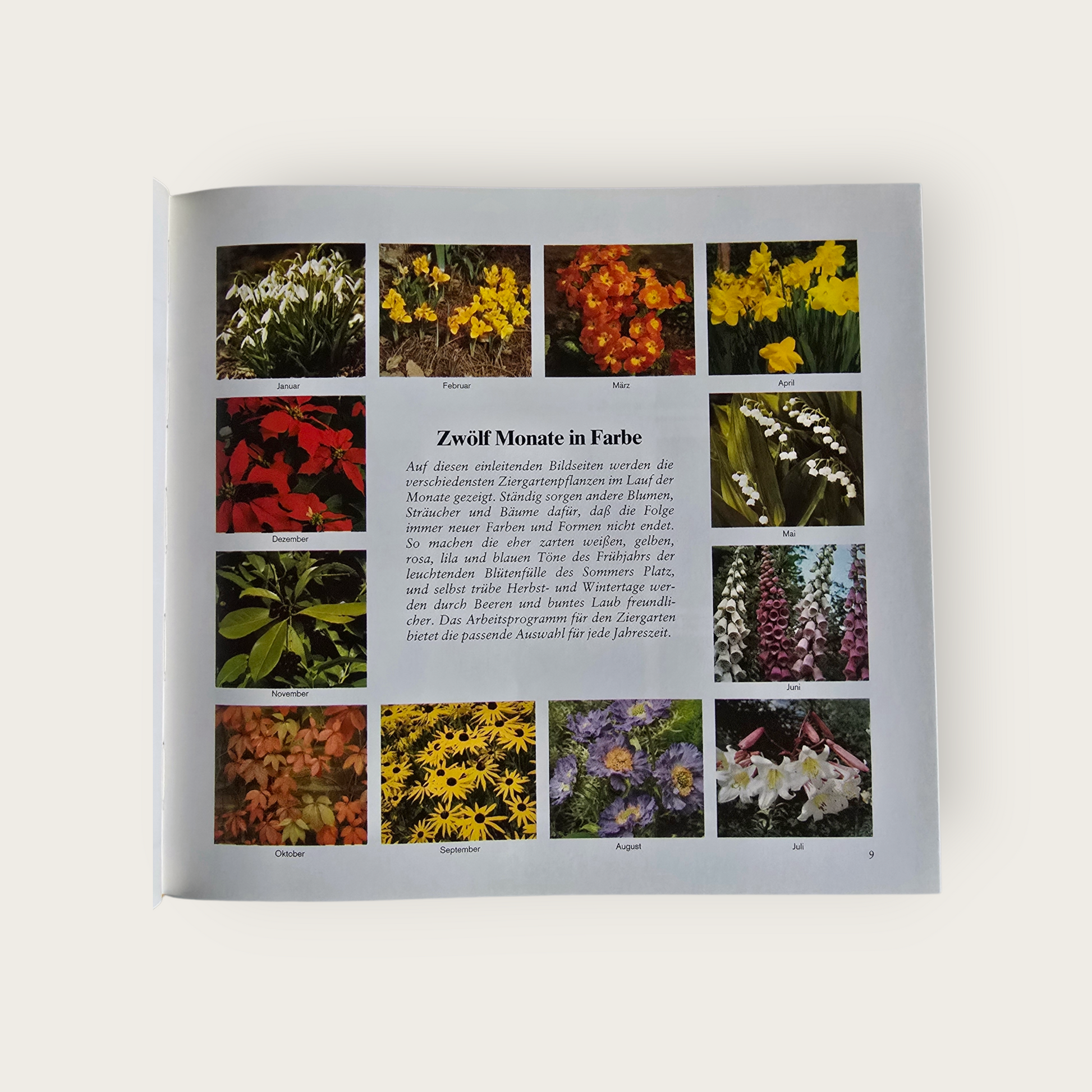 Buch Mit Erfolg durchs Gartenjahr (1985)