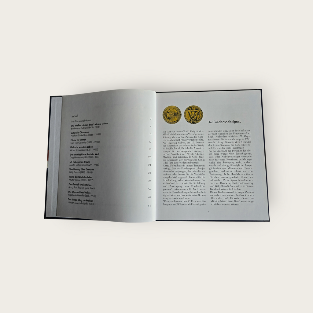 Buch Selig sind, die Frieden stiften (2009)