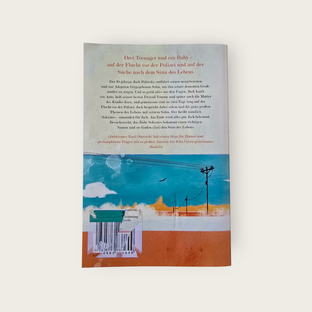 Buch Wo ein bisschen Zeit ist E. Ostrovski (2014)