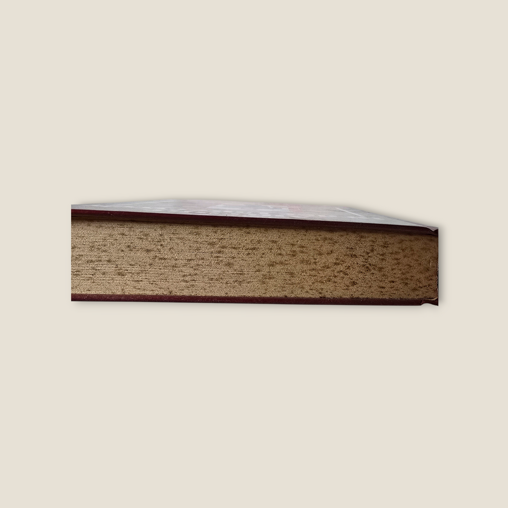 Buch Aufruhr in der Unterwelt  S. Wolf (1985)