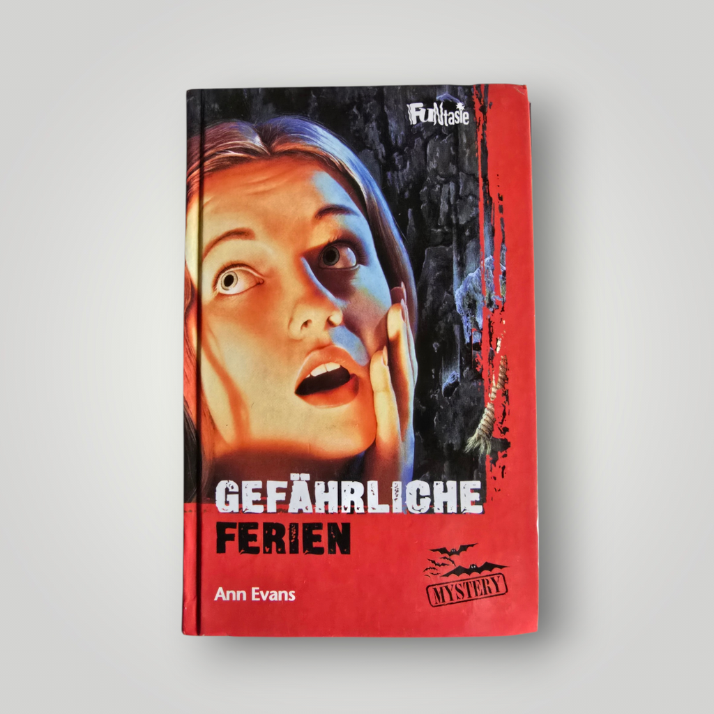 Buch Gefährliche Ferien Ann Evans (2002)