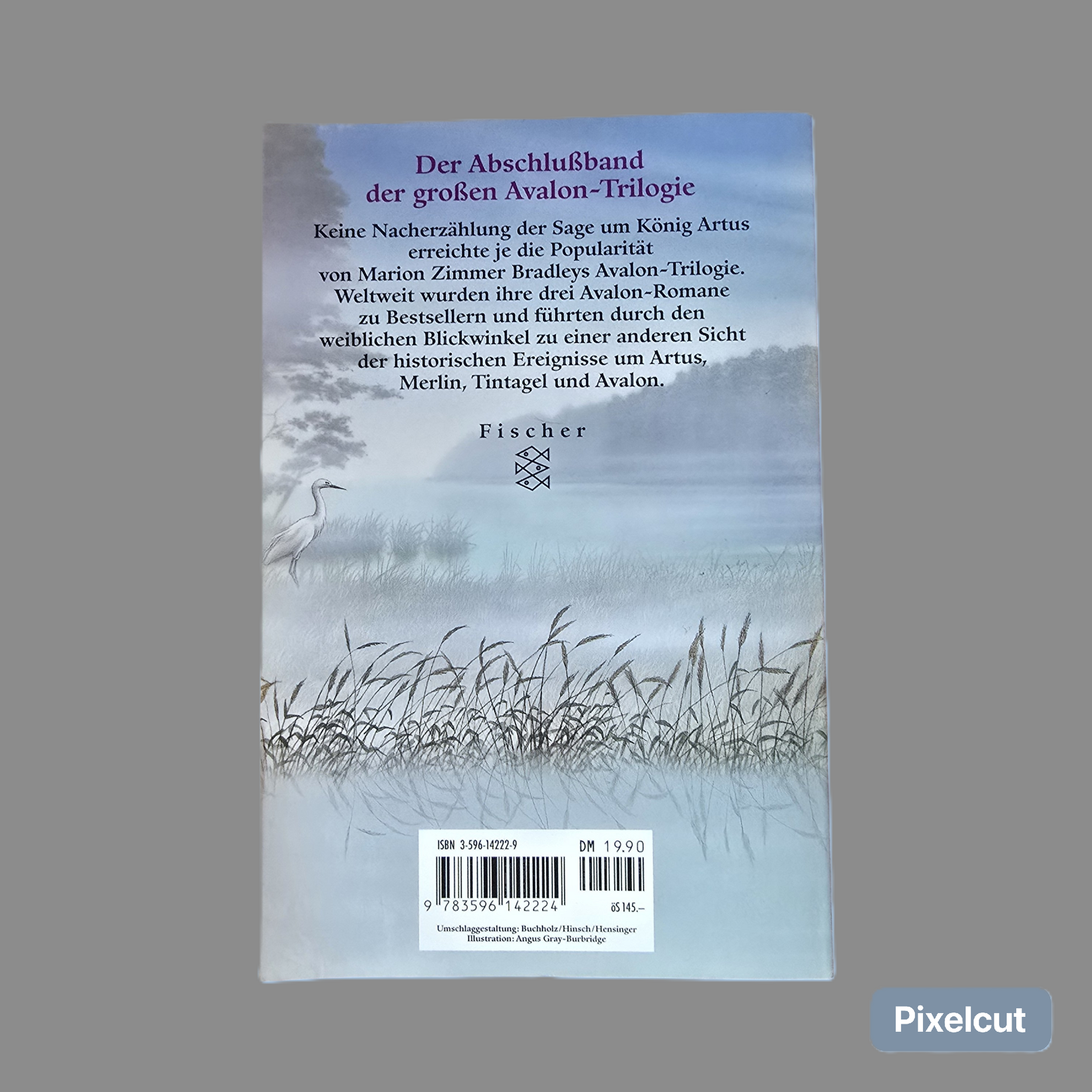 Taschenbuch  Die Herrin von Avalon  (1998)